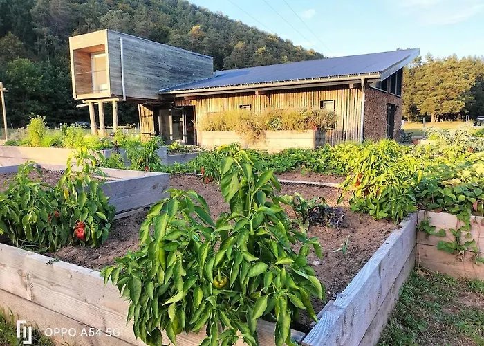 Vegetal Holiday home *